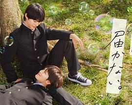 郑州seo查询哪家强